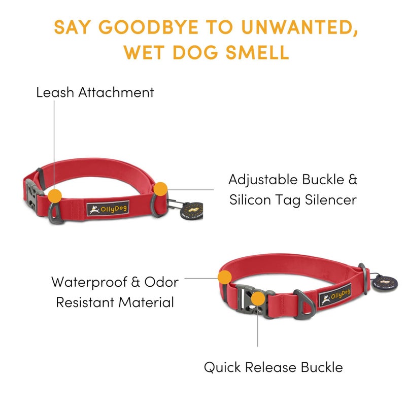 OllyDog Tilden Collar, Waterproof Dog Collar with Quick Release Buckle, Coated Stink-Proof Webbing, Lightweight Collar for Large, Medium and Small Dogs (Small, Red) - Image 2